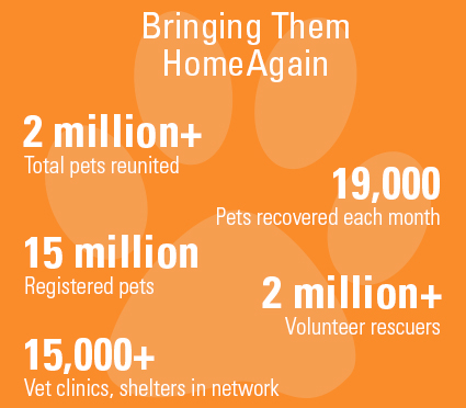 Homeagain national pet recovery 2024 database