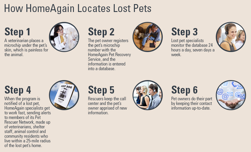 Homeagain national sale pet recovery database